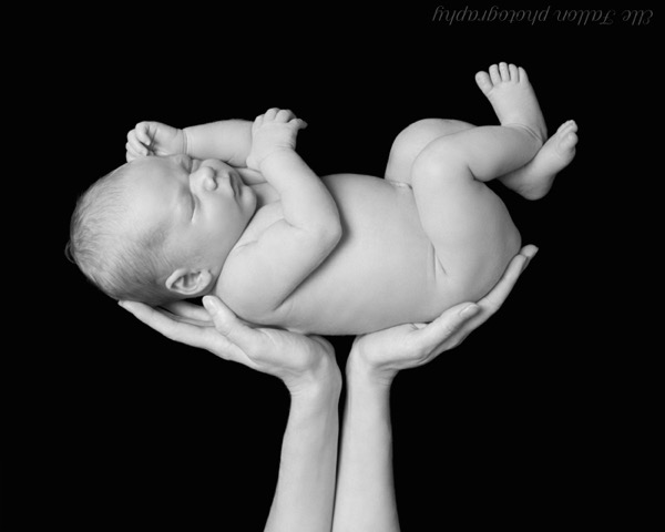 Newborn Photography SW7 London