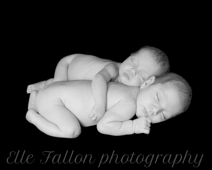 Newborn Twin Photography session Kensington London