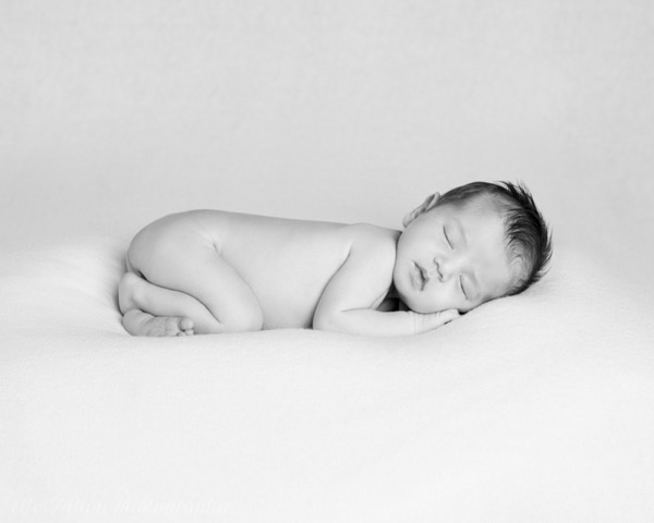 Newborn Photography Primrose Hill, North London