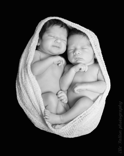 Newborn Twin Photography Session London