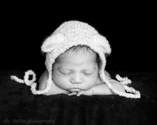 Newborn Photographer Belsize Park London