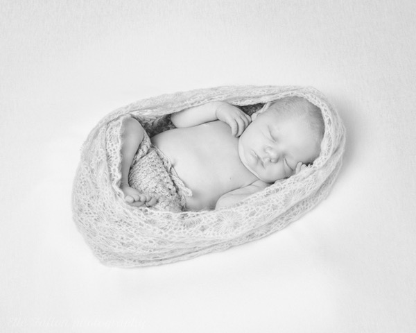 Newborn Photographer Westminster